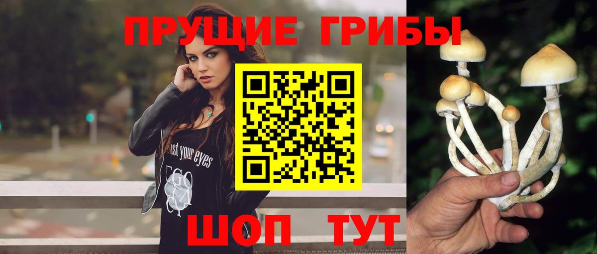 Галлюциногенные грибы GOLDEN TEACHER  Псилоцибиновые грибы мухоморы  Вход с VPN  наркотики  Ступино 