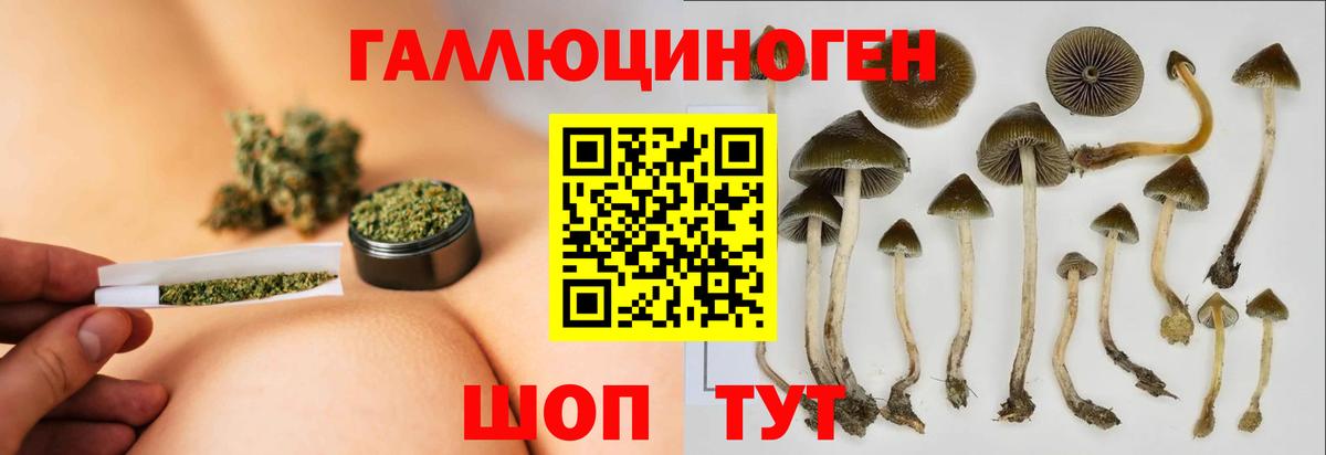 Галлюциногенные грибы мицелий Ступино